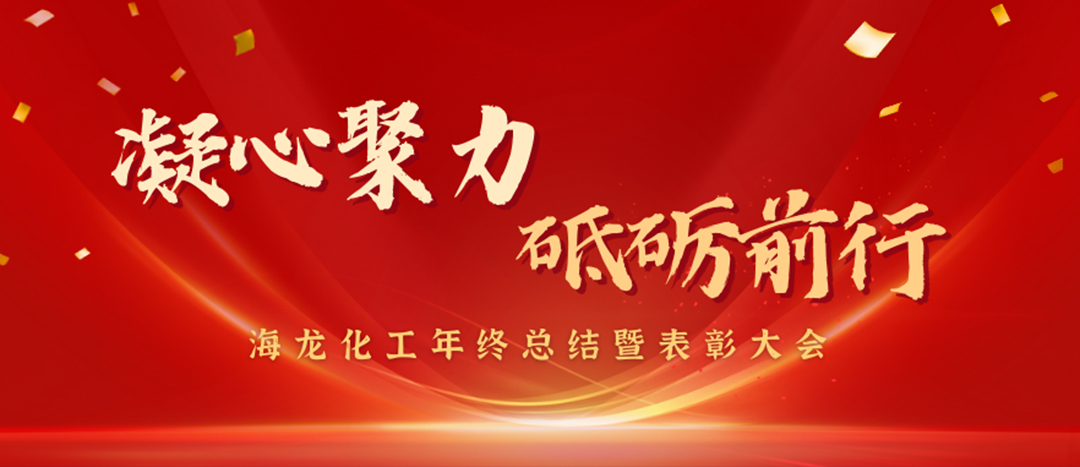 表彰 | 凝心聚力，砥礪前行，海龍化工年終總結(jié)暨表彰大會(huì)圓滿舉行